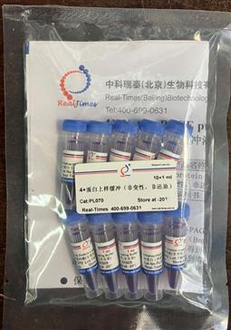 4×蛋白上樣緩沖（非變性，非還原）